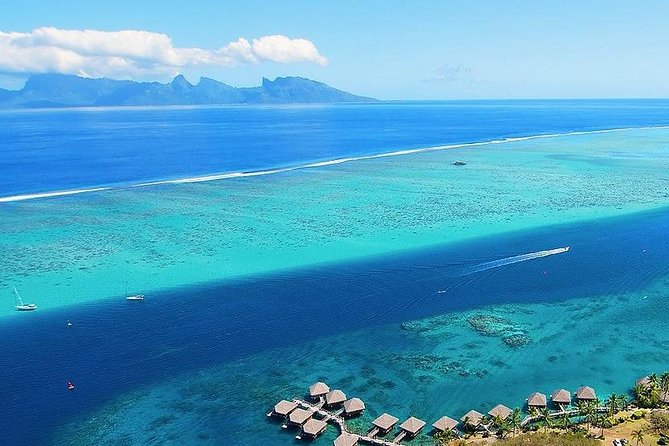 Small group snorkeling (5 people max): wrecks & tropical fishes at 3:30pm - Why three wrecks make this Tahiti snorkel special