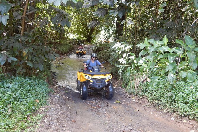 Small Quad Tour 2h30 Quad excursion in Moorea (single or two-seater) - Forest roads, plantations, and the feel of the ride