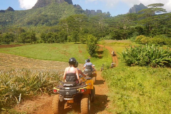 Small Quad Tour 2h30 Quad excursion in Moorea (single or two-seater) - Jams, fruit, and a modest local-food touch
