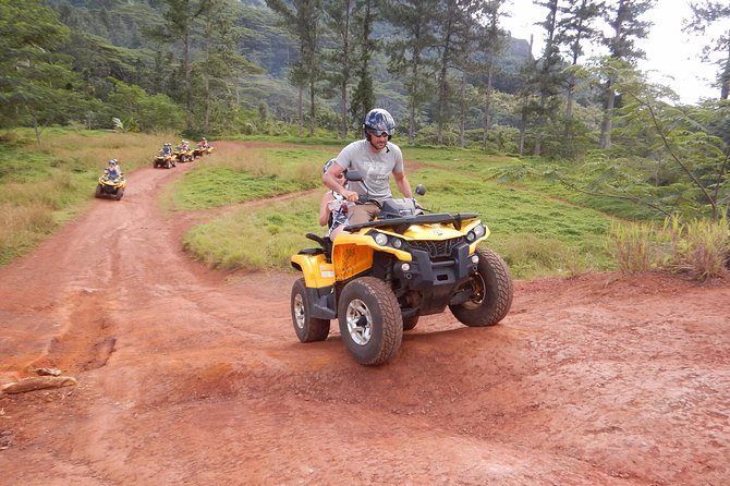 Small Quad Tour 2h30 Quad excursion in Moorea (single or two-seater) - The Belvedere lookout and Moorea’s two famous bays
