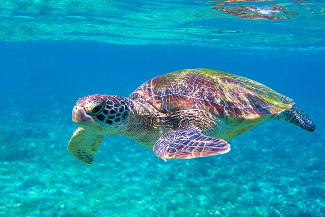 Snorkeling EN Underwater Scooter in Tahiti - Leaving Marina Taina for the lagoon