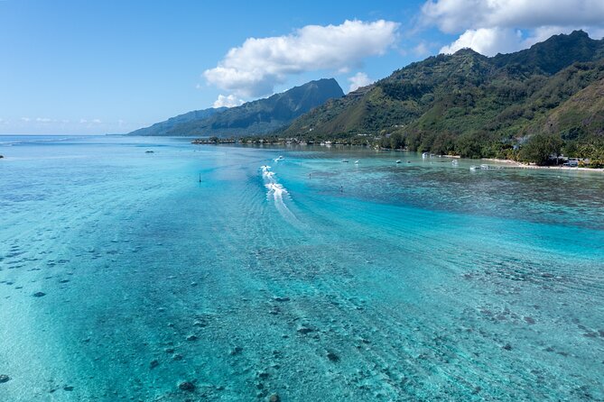 Snorkeling excursion and encounter with marine fauna in Moorea - The yellow boat and Moorea’s changing lagoon