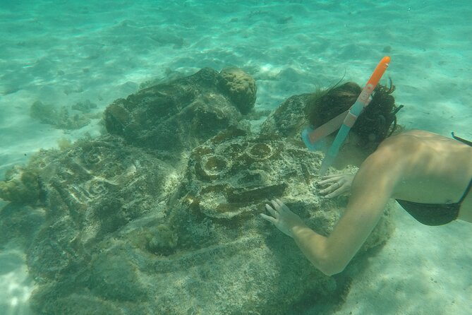 Snorkeling excursion and encounter with marine fauna in Moorea - Lunch with your feet in the lagoon
