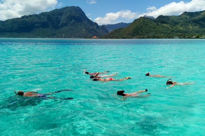Snorkeling excursion and encounter with marine fauna in Moorea - Guides who make a small group matter