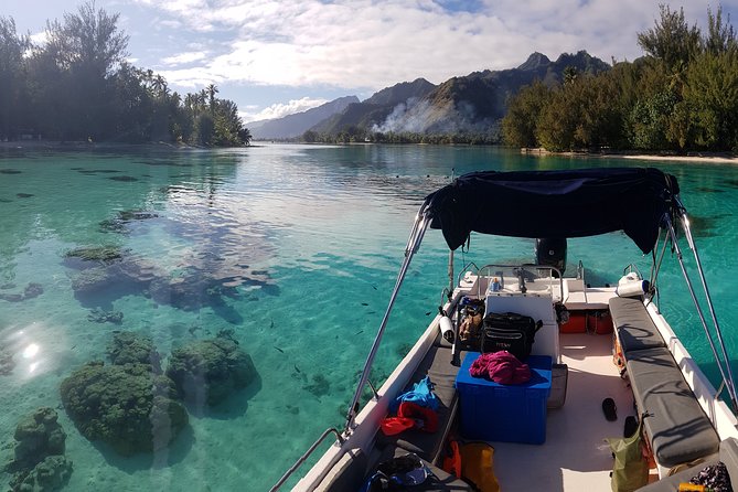 Snorkeling excursion, discovery of the lagoon, small group. - Key points at a glance