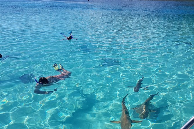Snorkeling excursion, discovery of the lagoon, small group. - Four stops, four very different views of the lagoon