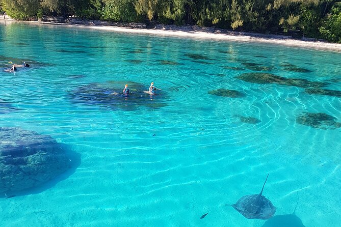 Snorkeling excursion, discovery of the lagoon, small group. - What the guide does well