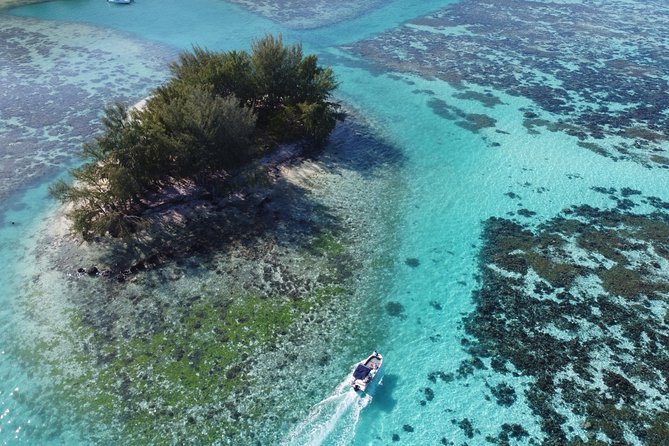 Snorkeling excursion, discovery of the lagoon, small group. - Equipment, comfort, and what to bring