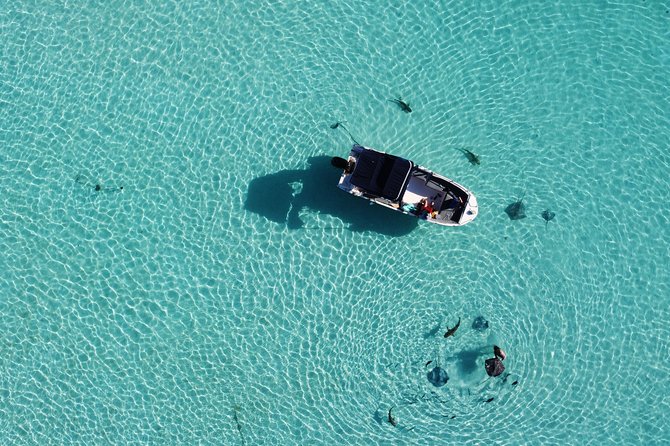 Snorkeling excursion, discovery of the lagoon, small group. - Is $118.46 a good value?