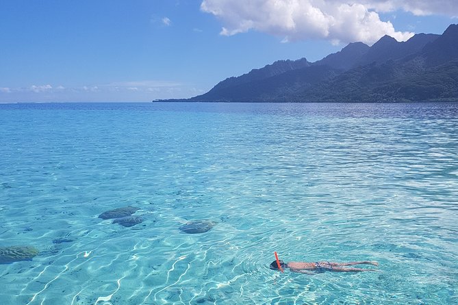 Snorkeling excursion, discovery of the lagoon, small group. - Who should book this Moorea excursion?