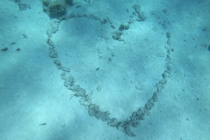 Snorkeling picnic in 4h30 with lunch in Tahiti - Is $218.64 a fair price?