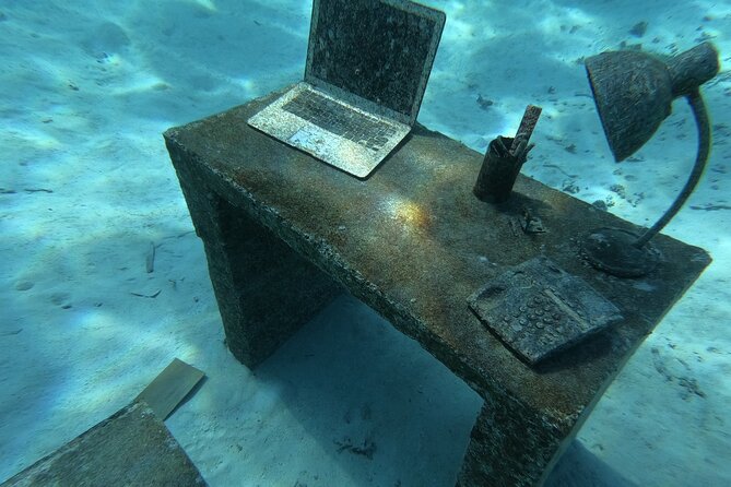 Snorkeling picnic in 4h30 with lunch in Tahiti - Who will enjoy this outing most