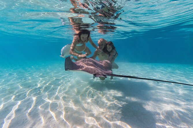 Snorkeling Tour in Moorea Aquatic Adventure Half Day - Key points at a glance