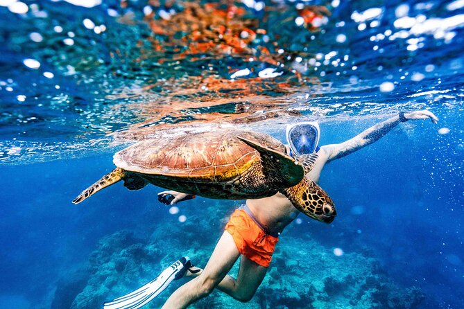 Swim With The Turtles Rarotonga - Getting Ready at Avaavaroa Passage