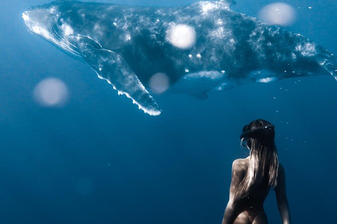 Swimming with Whales in Moorea (Half Day tour) - The small-group rule matters