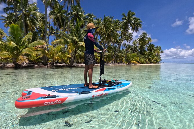 Tahaa Excursion in Electric Paddle Snorkeling Coral Garden - Why the electric paddleboard matters in Taha’a