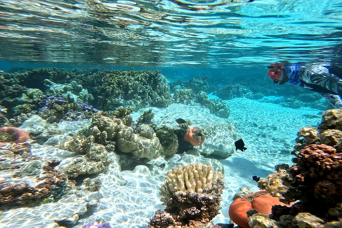 Tahaa Excursion in Electric Paddle Snorkeling Coral Garden - The morning route from Taha’a to the Coral Garden
