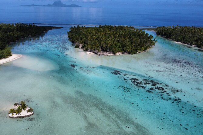 Tahaa Excursion in Electric Paddle Snorkeling Coral Garden - The snack break with your feet in the lagoon