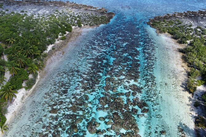 Tahaa Excursion in Electric Paddle Snorkeling Coral Garden - Greg and Anais keep the outing personal