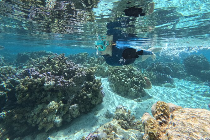 Tahaa Excursion in Electric Paddle Snorkeling Coral Garden - What the equipment package covers