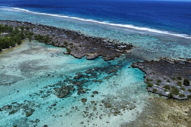 Tahaa Excursion in Electric Paddle Snorkeling Coral Garden - The shorter afternoon option and private outings