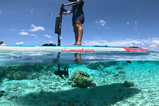 Tahaa Excursion in Electric Paddle Snorkeling Coral Garden - Snorkeling at Jardin de Corail