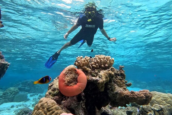 Tahaa: Kayaking Rental - Coral Garden - Snorkeling - Fishing outside the protected area