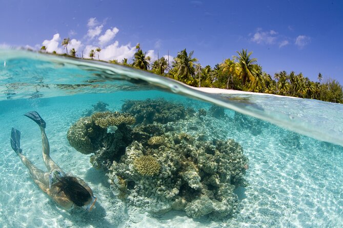 Tahaa Lagoon Tour -Departure Raiatea-Small groups (max 12 p) - Motu Atger, lunch, and time to slow down