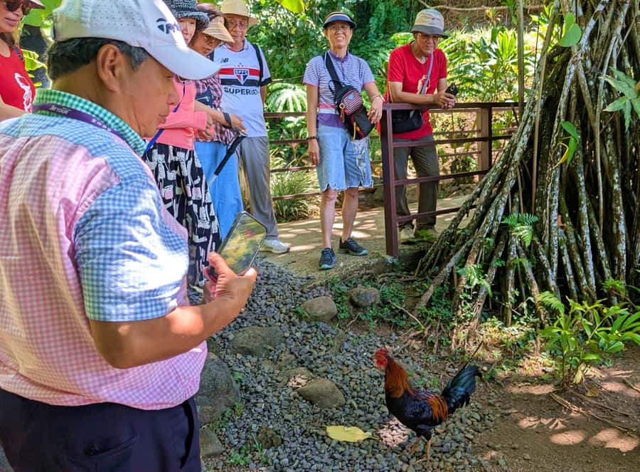 Tahiti Classical Coastal Full Day Private Tour - Why this private Tahiti tour works well in one day