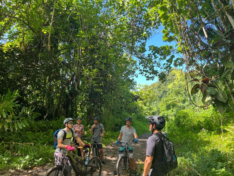 Tahiti E-bike, mtb, vtt Tour with Swimming and Lunch - Key points to know before you book