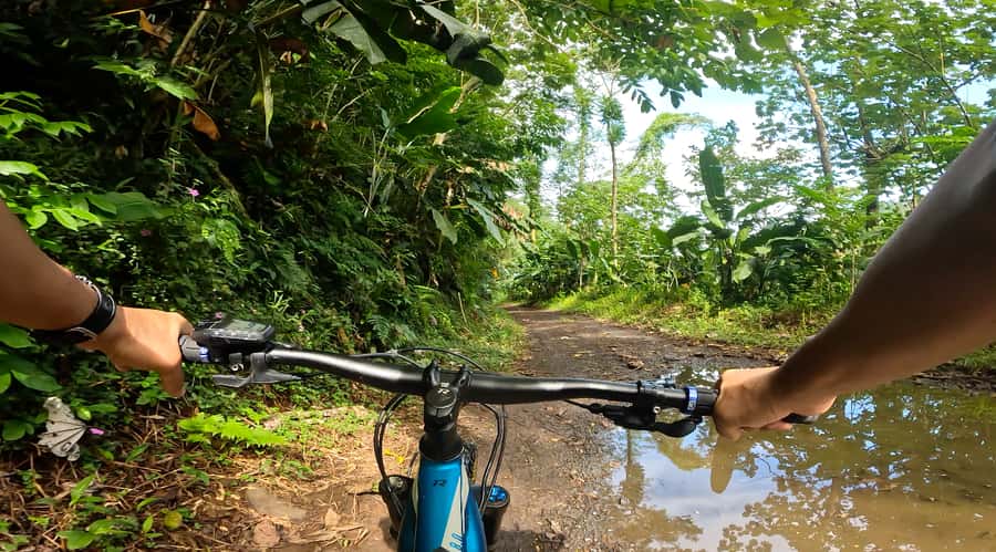 Tahiti E-bike, mtb, vtt Tour with Swimming and Lunch - A cold stop at King’s Basin