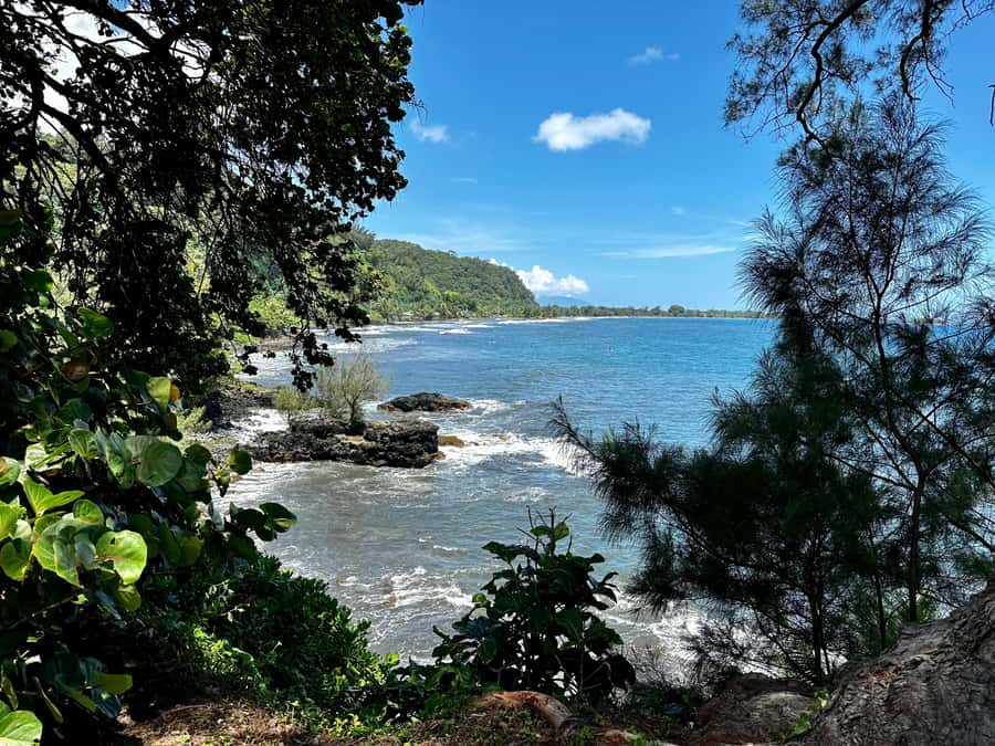 Tahiti: East or West coast tour (Half Day) - Choosing between Tahiti’s east and west coasts