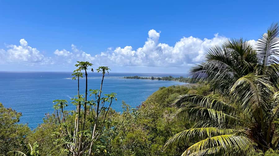 Tahiti: East or West coast tour (Half Day) - East coast: cliffs, waterfalls, and Pointe Vénus
