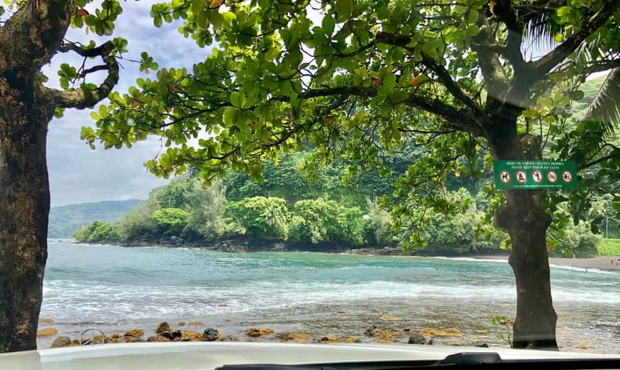 Tahiti: East or West coast tour (Half Day) - West coast: beaches, caves, and the water garden