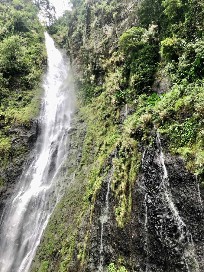 Tahiti: East or West coast tour (Half Day) - What the guide adds to four hours