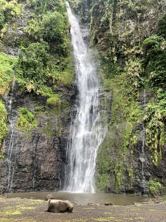 Tahiti: East or West coast tour (Half Day) - Should you book the Tahiti half-day coast tour?
