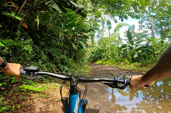 Tahiti excursion adventure circuit MTB MTB E-Bike private valley - The descent and a cold stop at Bassin du Roi