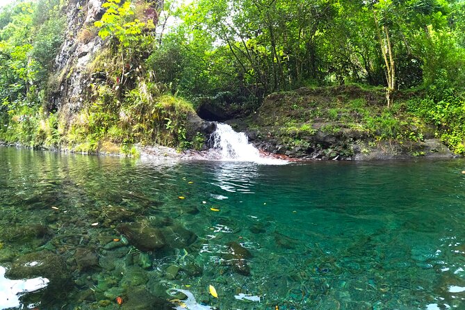 Tahiti excursion adventure circuit MTB MTB E-Bike private valley - How much value do you get for $285.44?
