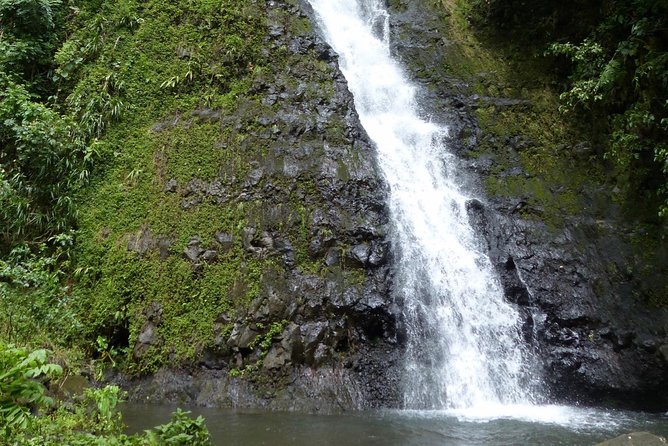 Tahiti: Full Day Tour of the Island - Vaipahi Gardens add flowers and ponds