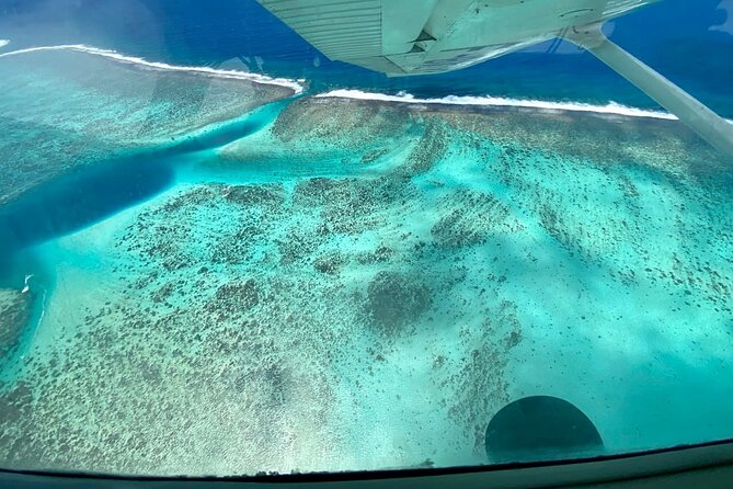 Tahiti: Full Day Tour with Private Flight EN Cessna (Moorea & Tahiti) - What the $2,000 price really buys