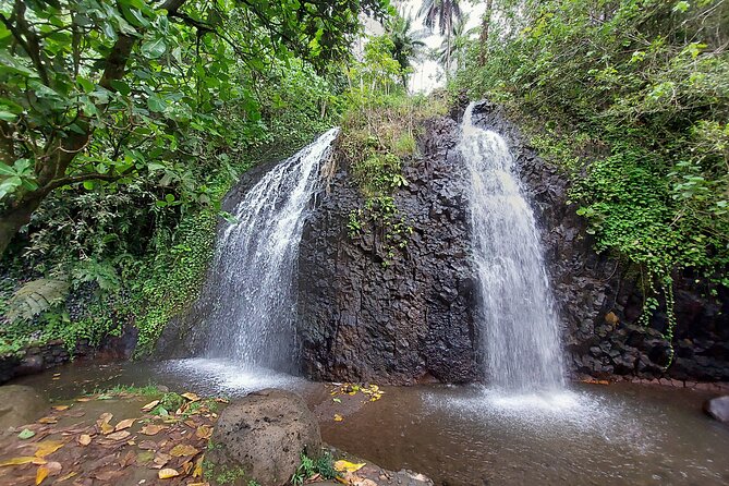 Tahiti Half Day Coastal Private Tour - Key points to know before booking