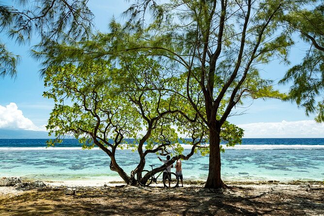 Tahiti Half Day Coastal Private Tour - Taharuu Beach and Tahiti’s black sand
