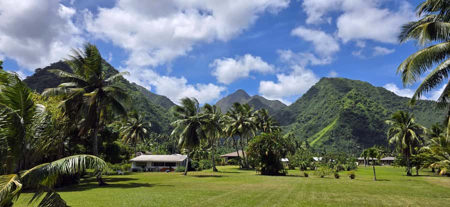 Tahiti Half Day Small Group Circle Tour - Waterfalls & Caves - The minivan, group size, and guide experience