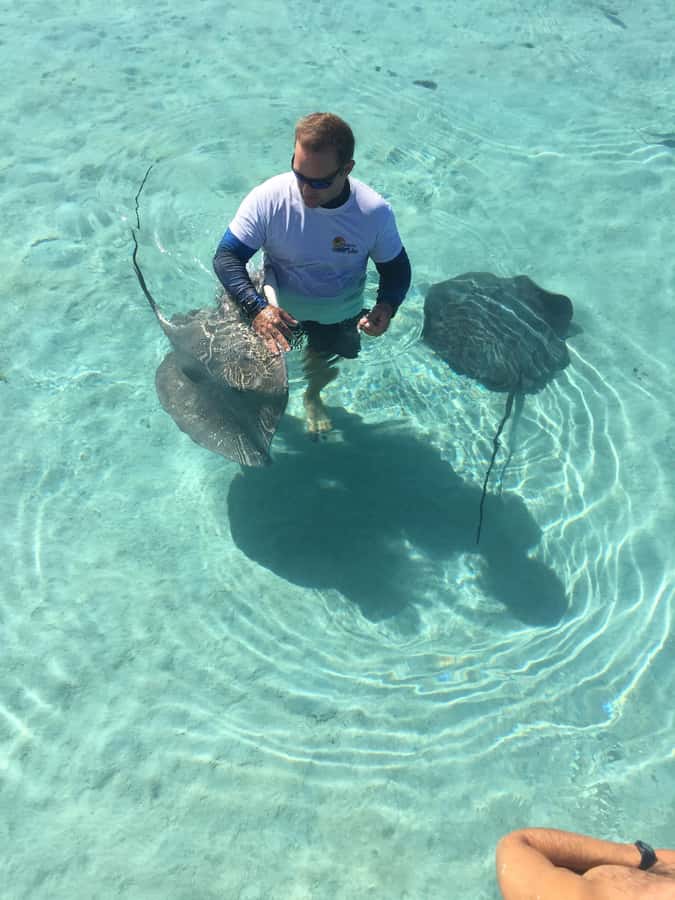 Tahiti island: 4 hours Snorkeling Tour - Four hours across Tahiti’s clear lagoon