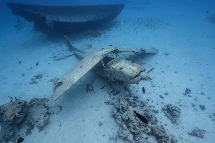 Tahiti island: 4 hours Snorkeling Tour - Freshwater springs and the coral garden