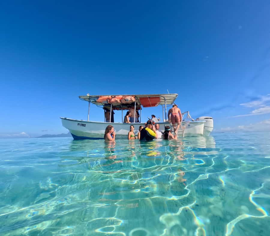 Tahiti island: 5 hours Snorkeling Picnic - How the group size changes the feel
