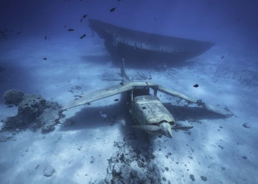 Tahiti island: 5 hours Snorkeling Picnic - Who will enjoy this Tahiti boat trip most?
