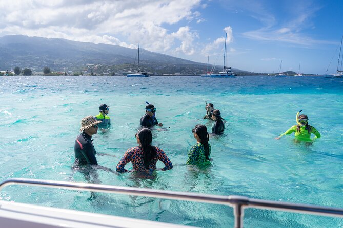 Tahiti Lagoon Snorkeling and Lunch Boat Tour (6 pax max) - The freshwater spring at Sapinus
