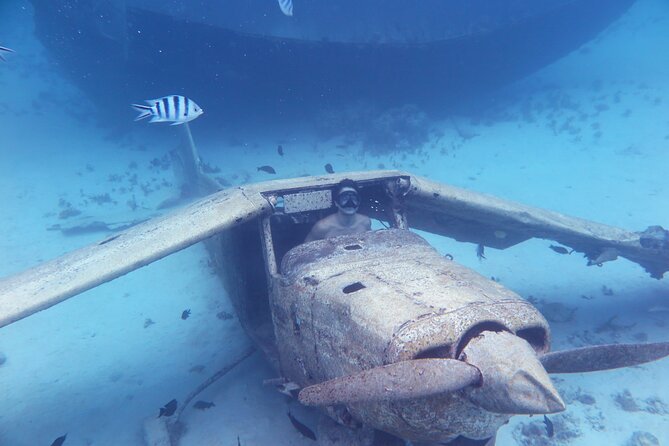 Tahiti Lagoon Vaimareva Private Boat cruise - Wrecks, a pass, and the natural aquarium
