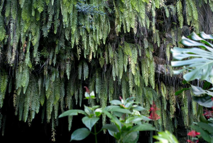 Tahiti: Private Half Day Culture and Nature Highlights Tour - One half-day, many sides of Tahiti